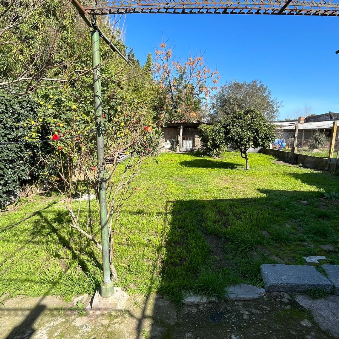 Casa en Venta – Ref. 155: imagen 3