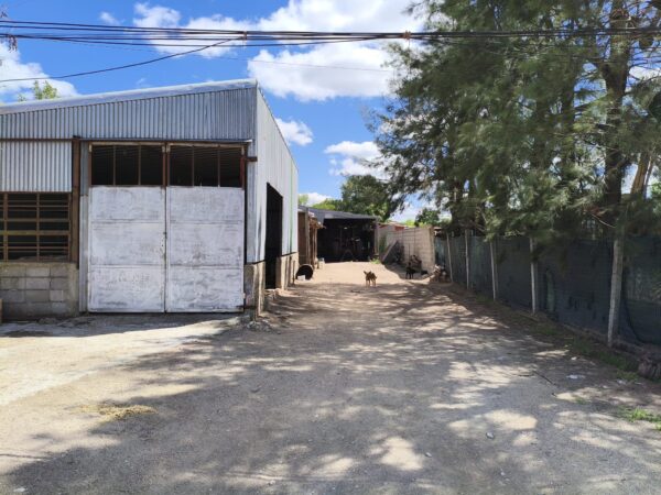 Terreno con Galpón en Venta – Ref. 170