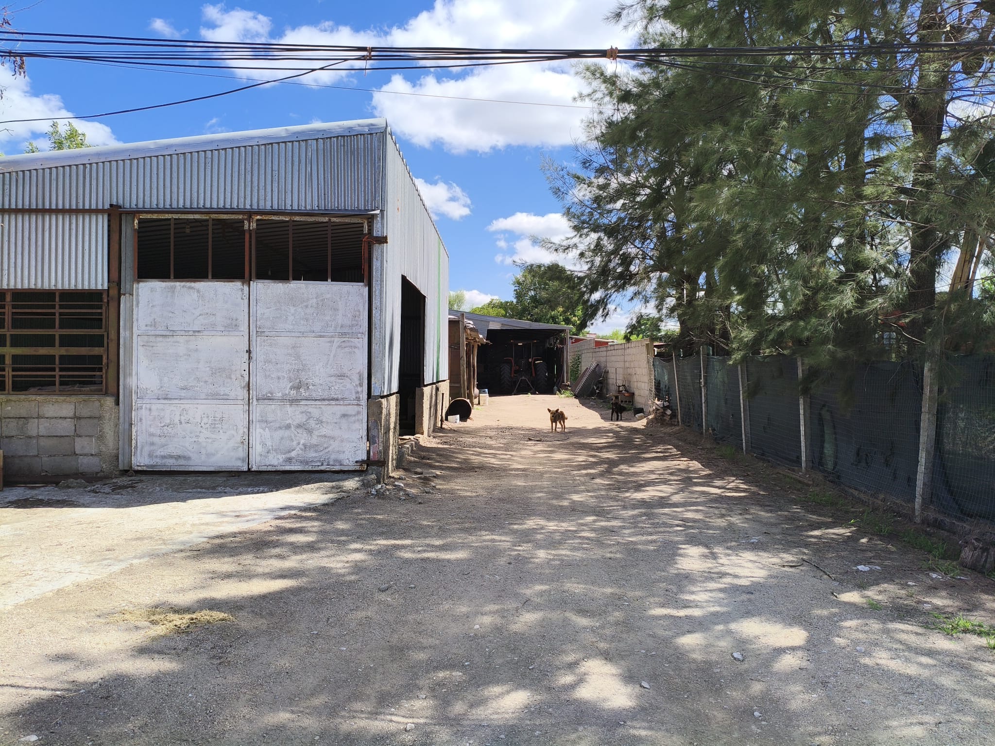 Terreno con Galpón en Venta – Ref. 170: imagen 2