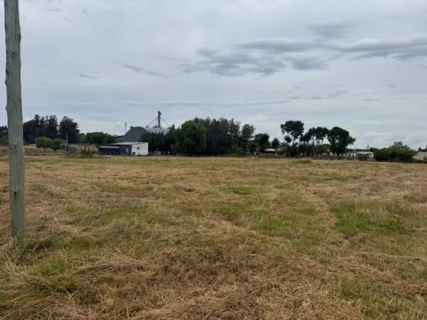 Terreno en Tala – Ref. 169
