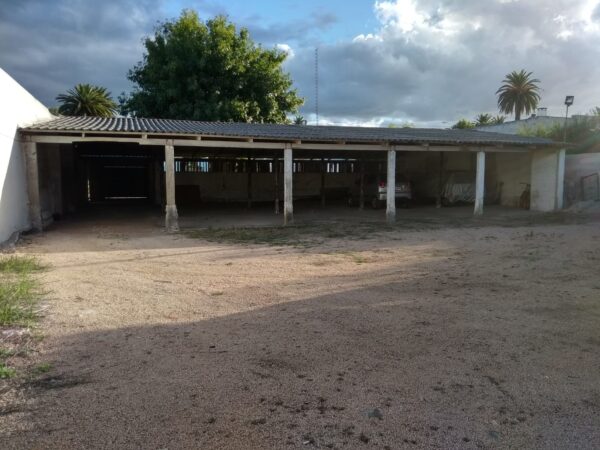Cocheras en Alquiler
