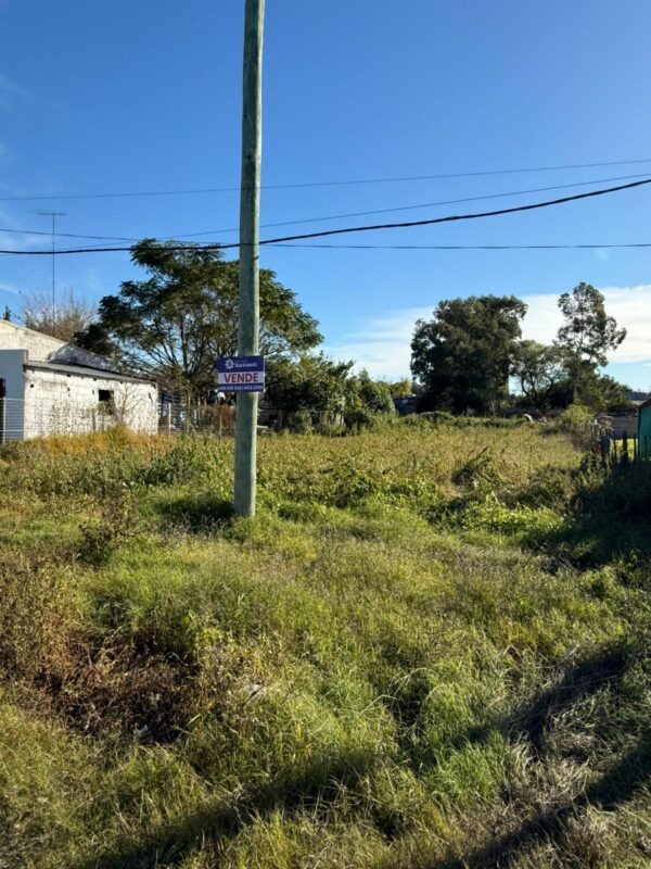 Terreno en Chamizo – Ref. 177