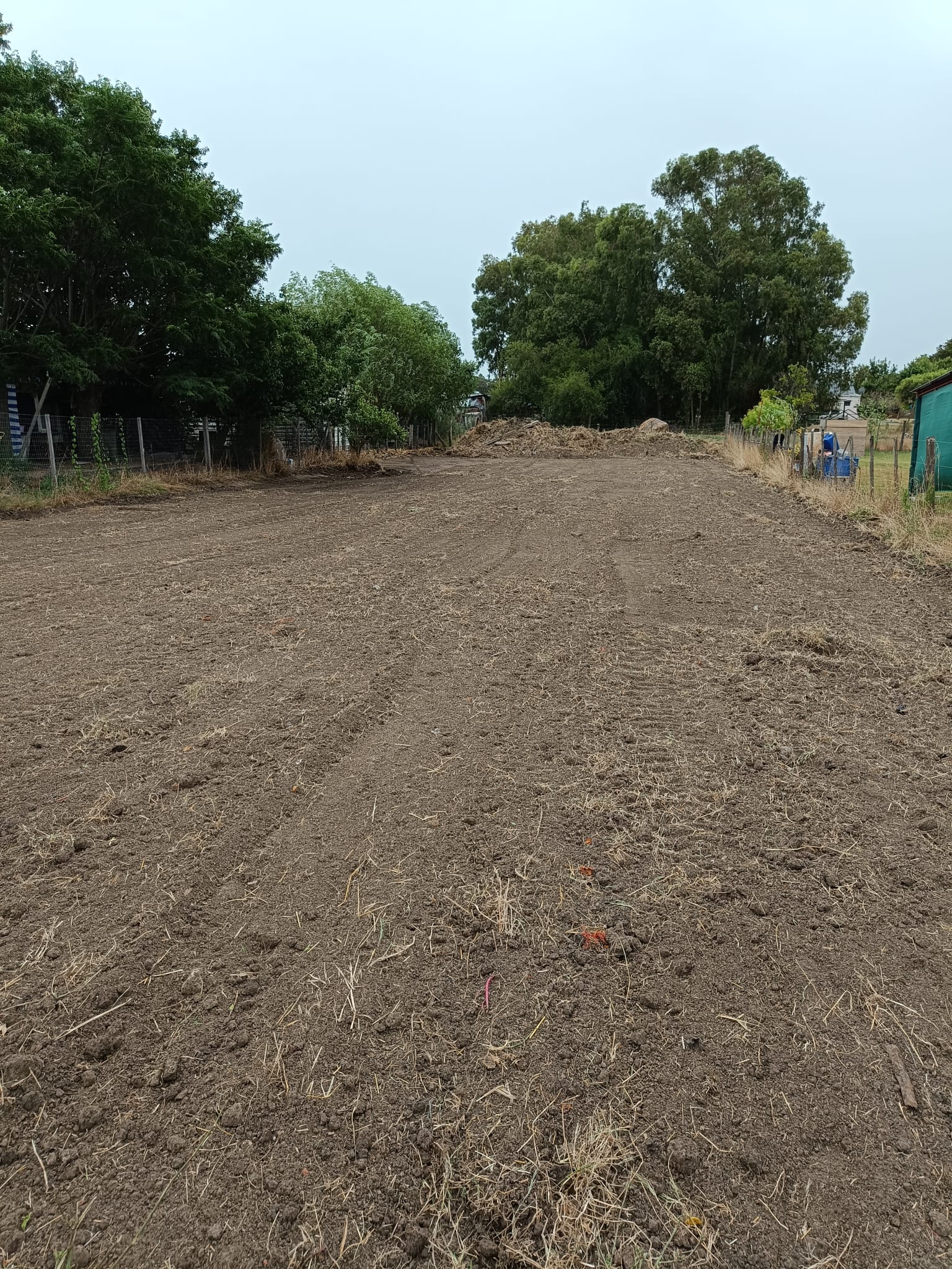 Terreno en Chamizo – Ref. 177: imagen 3